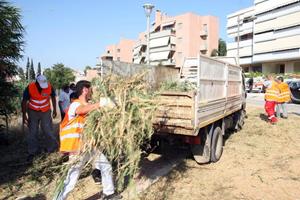 Εγκρίθηκε η μελέτη για την πρόσληψη 269 ατόμων στον Δήμο Φυλής