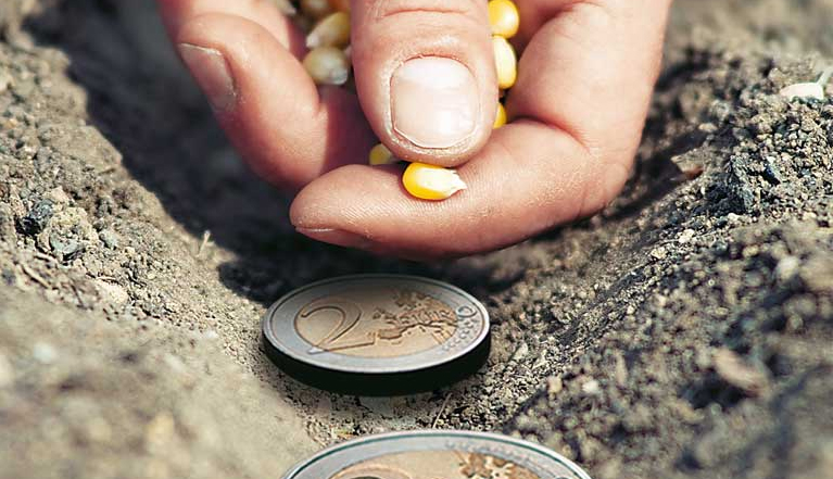 Πρόγραμμα επιδότησης των Νέων Αγροτών στον Δήμο Φυλής