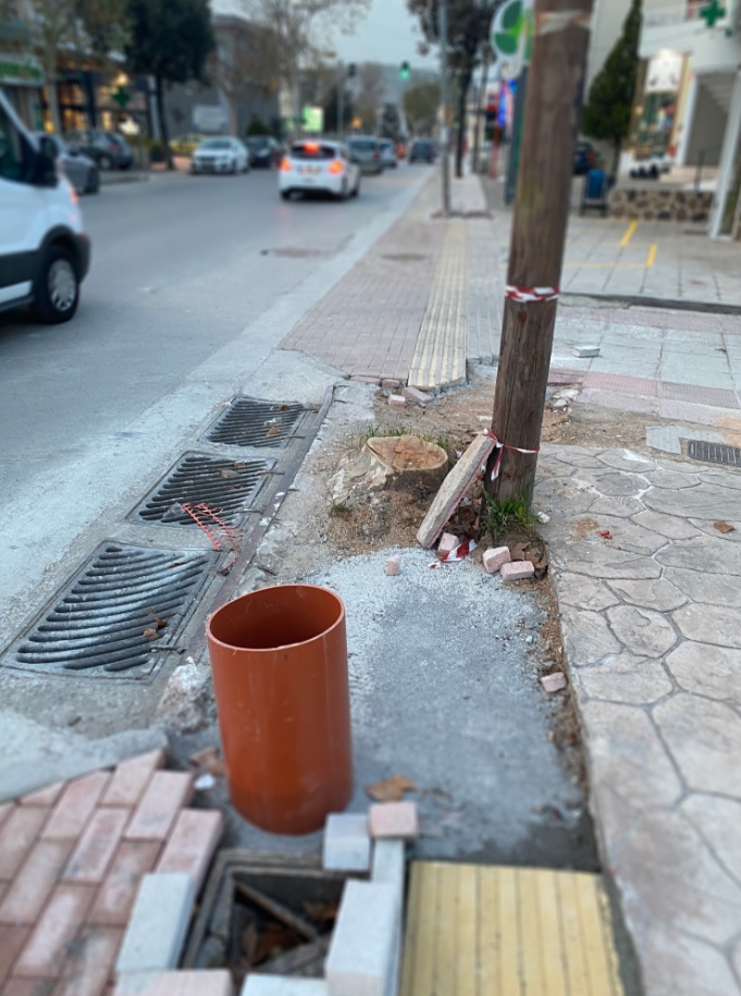 “Αλλάζουμε” – “Κόβει Υγιέστατα Πλατάνια 30 Ετών επί της κεντρικής Λεωφόρου ο Δήμος Φυλής”