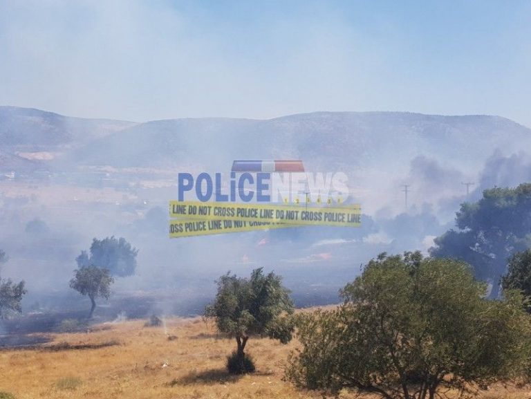 Έκτακτο – Μεγάλη φωτιά στην Ελευσίνα