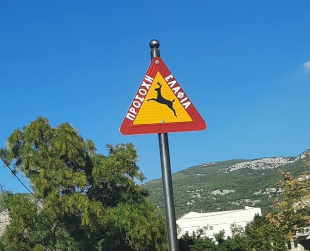 Ανταποκρίθηκε ο Δήμος Φυλής στο αίτημα για  ειδική οδοσήμανση για την προστασία ελαφιών και οδηγών