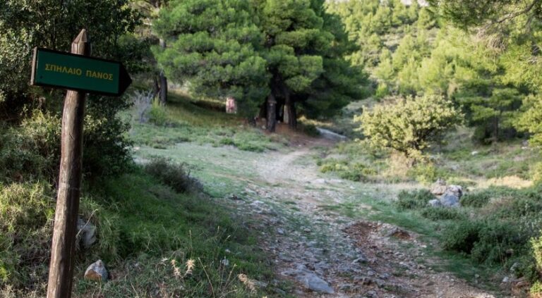 Συναγερμός στη Χασιά – Επιχείρηση για τον εντοπισμό δύο γυναικών