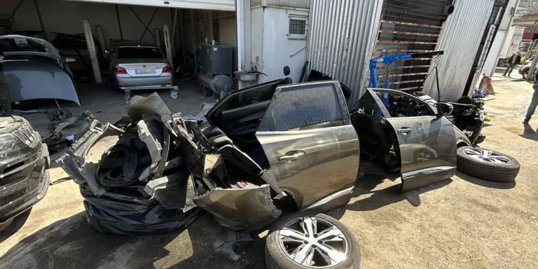 Άνω Λιόσια – Έκλεβαν αυτοκίνητα και τα μεταπωλούσαν σε ανταλλακτικά: Έξι συλλήψεις και ένας ηθοποιός στη “φάκα” της αστυνομίας