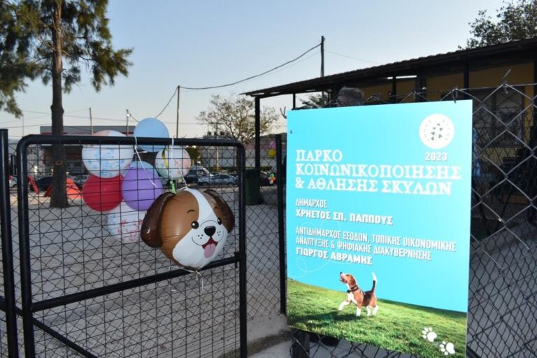 Παρουσίασε τον επίσημο απολογισμό των φιλοζωικών δράσεων του 2023 ο Δήμος Φυλής
