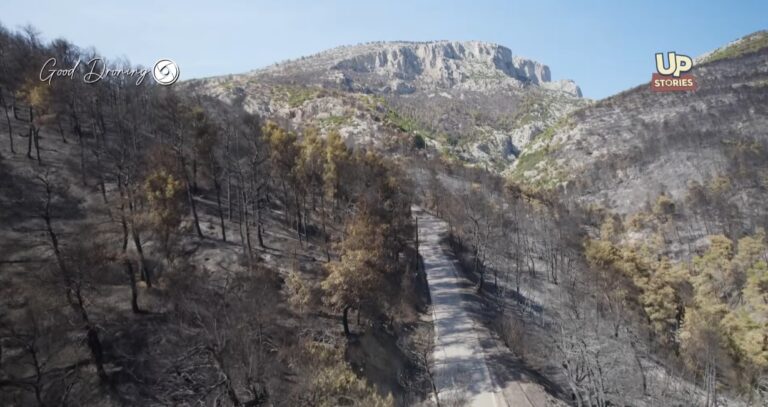 Ένας χρόνος από την καταστροφική πυρκαγιά στη Χασιά (video)
