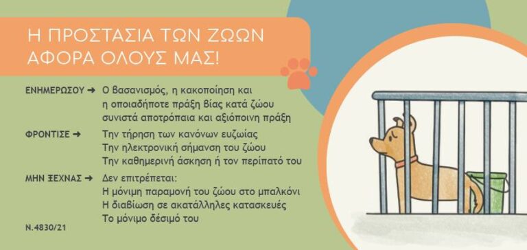 Δήμος Φυλής – Απολογισμός δράσεων για τα αδέσποτα ζώα συντροφιάς για το 2025