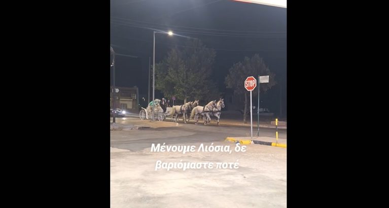Σουρεάλ – Άλογα με χαίτη και άλογα με… ζάντες: Το βίντεο από τα Άνω Λιόσια που έγινε viral!
