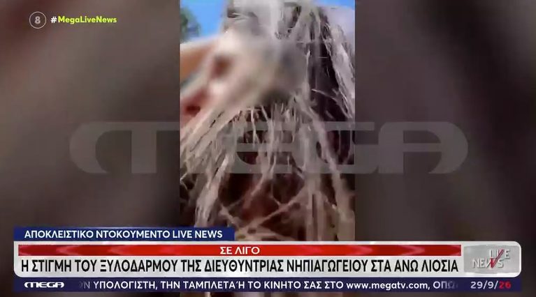 Άνω Λιόσια – Καρέ καρέ η επίθεση στη διευθύντρια του νηπιαγωγείου: τα πλάνα από το MEGA